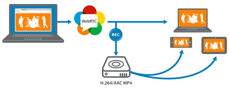 IP地址泄露丨2023如何在不同浏览器中禁用WebRTC